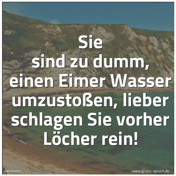 Spruchbild mit dem Text 'Sie sind zu dumm, einen Eimer Wasser umzustoßen,
lieber schlagen Sie vorher Löcher rein!'