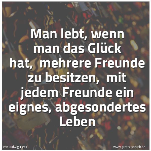 Spruchbild mit dem Text 'Man lebt, wenn man das Glück hat, 
mehrere Freunde zu besitzen, 
mit jedem Freunde ein eignes, abgesondertes Leben'