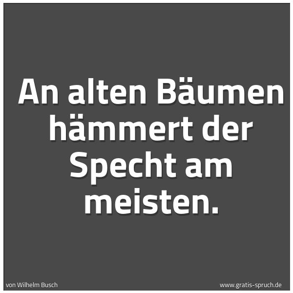 Spruchbild mit dem Text ' An alten Bäumen hämmert der Specht am meisten.'
