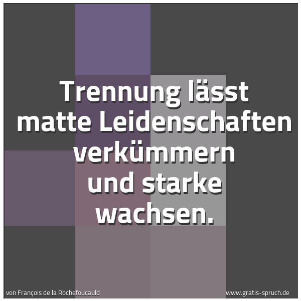 Spruchbild mit dem Text 'Trennung lässt matte Leidenschaften verkümmern
und starke wachsen.'