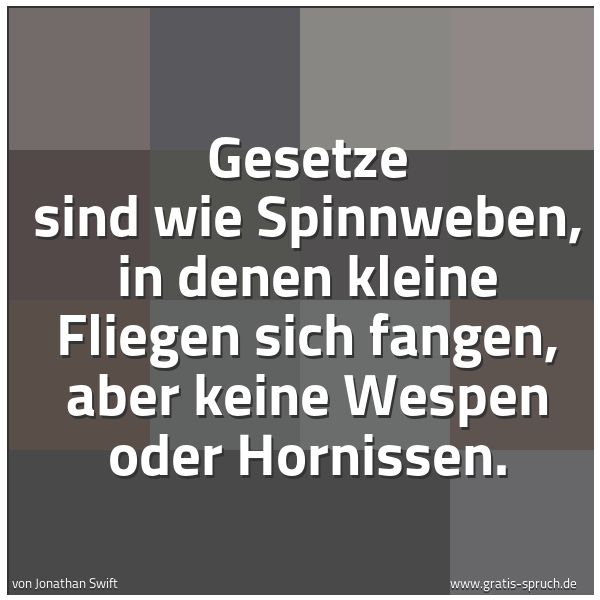 Spruchbild mit dem Text 'Gesetze sind wie Spinnweben, in denen kleine Fliegen sich fangen, aber keine Wespen oder Hornissen. '