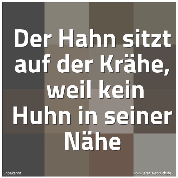 Spruchbild mit dem Text 'Der Hahn sitzt auf der Krähe, 
weil kein Huhn in seiner Nähe'