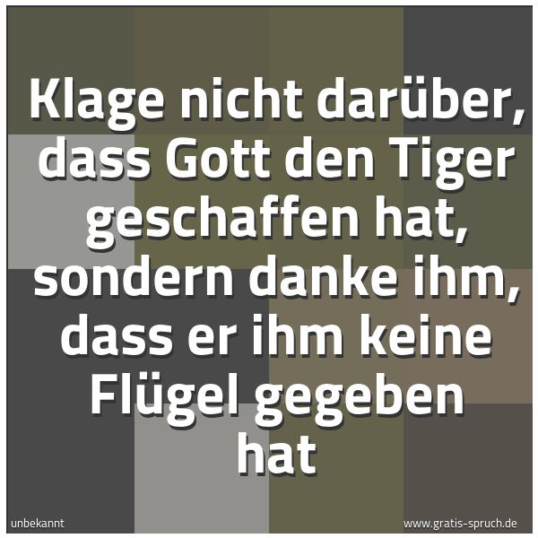 Spruchbild mit dem Text 'Klage nicht darüber, dass Gott den Tiger geschaffen hat, sondern danke ihm, dass er ihm keine Flügel gegeben hat'