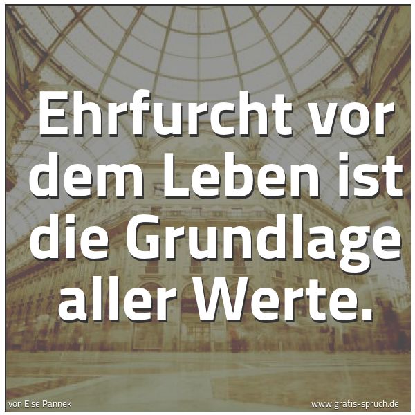 Spruchbild mit dem Text 'Ehrfurcht vor dem Leben
ist die Grundlage aller Werte.'