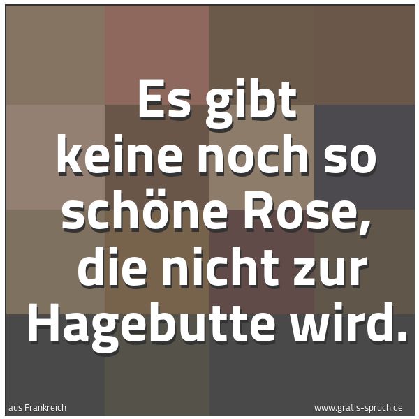 Spruchbild mit dem Text 'Es gibt keine noch so schöne Rose, 
die nicht zur Hagebutte wird.'