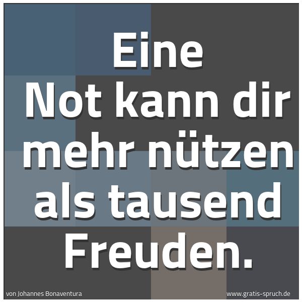 Spruchbild mit dem Text 'Eine Not kann dir mehr nützen als tausend Freuden.'
