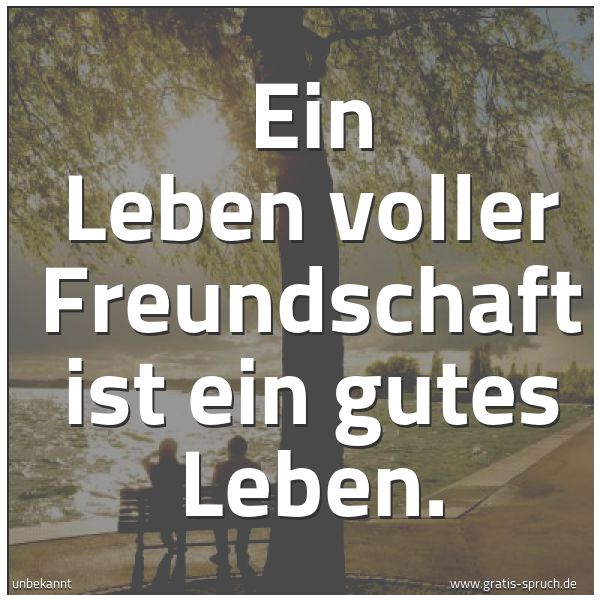 Spruchbild mit dem Text 'Ein Leben voller Freundschaft ist ein gutes Leben.'