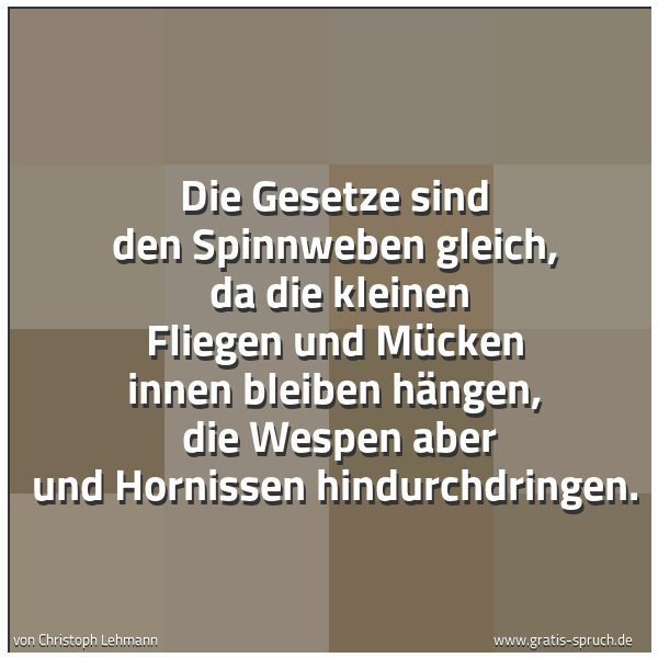 Spruchbild mit dem Text 'Die Gesetze sind den Spinnweben gleich, 
da die kleinen Fliegen und Mücken innen bleiben hängen, 
die Wespen aber und Hornissen hindurchdringen.'