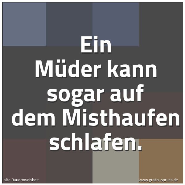 Spruchbild mit dem Text 'Ein Müder kann sogar auf dem Misthaufen schlafen.'