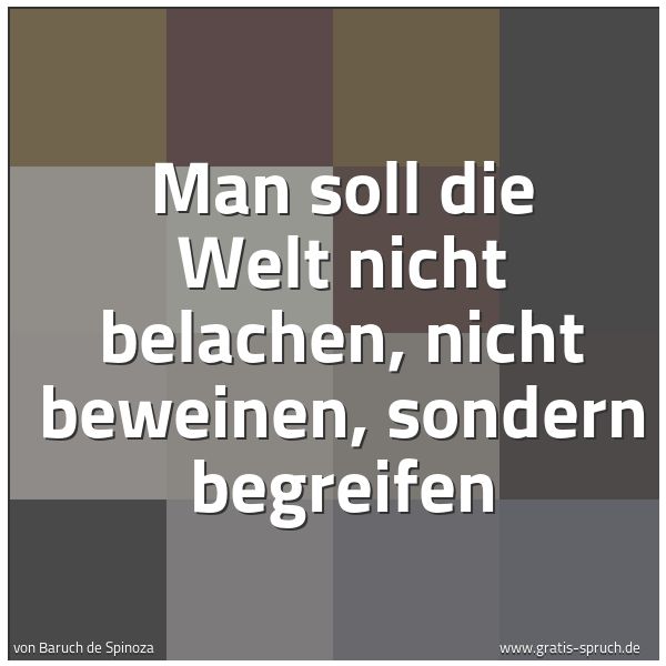 Spruchbild mit dem Text 'Man soll die Welt nicht belachen, nicht beweinen,
sondern begreifen'