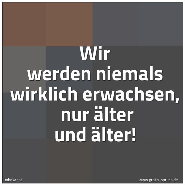 Spruchbild mit dem Text 'Wir werden niemals wirklich erwachsen, nur älter und älter!'