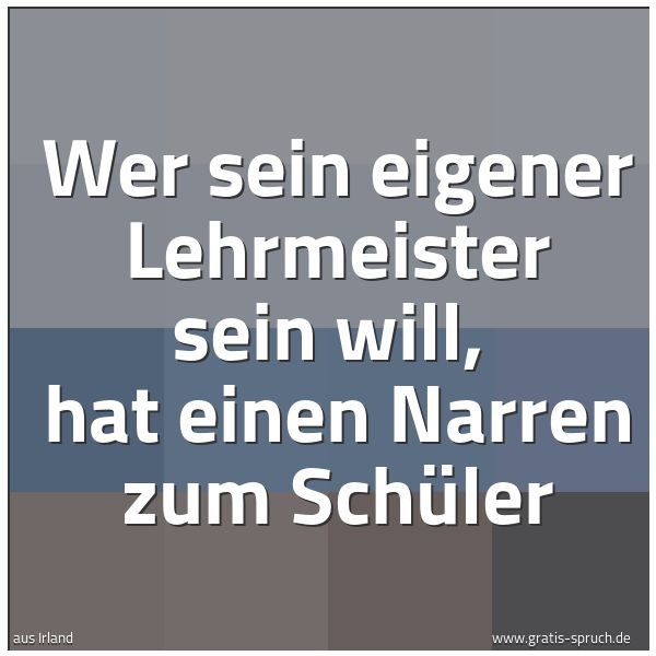 Spruchbild mit dem Text 'Wer sein eigener Lehrmeister sein will, 
hat einen Narren zum Schüler'