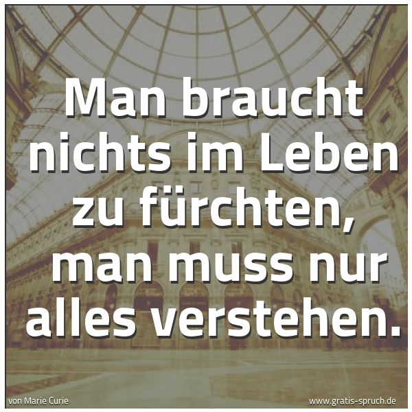 Spruchbild mit dem Text 'Man braucht nichts im Leben zu fürchten, 
man muss nur alles verstehen.'