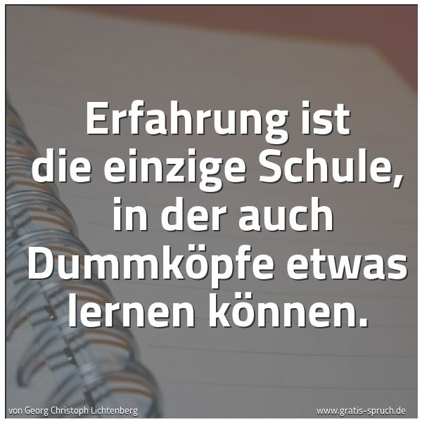 Spruchbild mit dem Text 'Erfahrung ist die einzige Schule, 
in der auch Dummköpfe etwas lernen können.'
