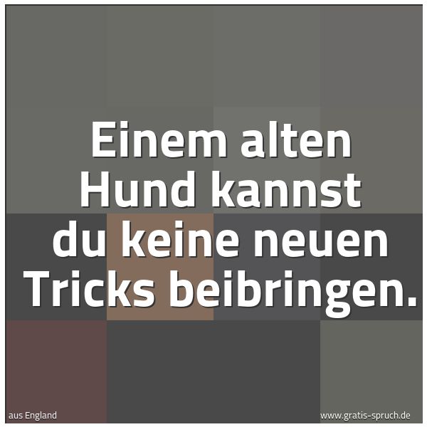 Spruchbild mit dem Text 'Einem alten Hund kannst du keine neuen Tricks beibringen.'