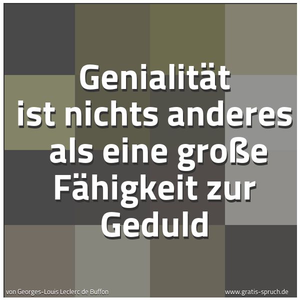 Spruchbild mit dem Text 'Genialität ist nichts anderes 
als eine große Fähigkeit zur Geduld
'