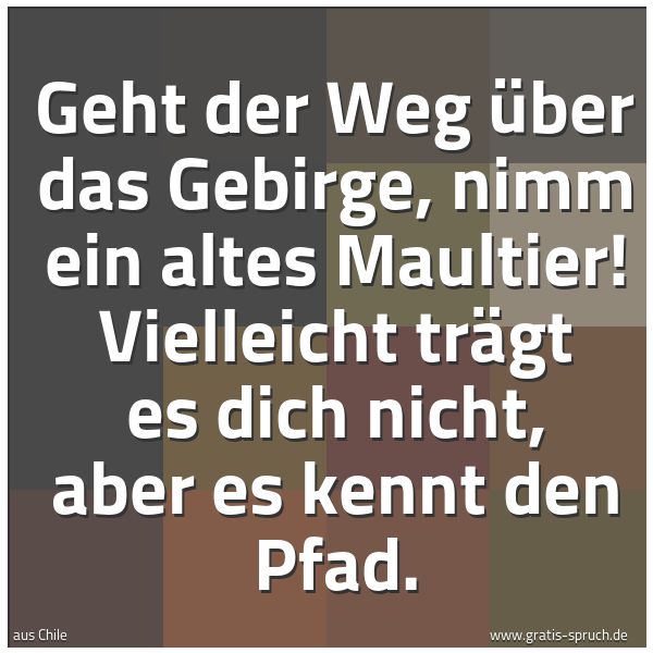 Spruchbild mit dem Text 'Geht der Weg über das Gebirge, nimm ein altes Maultier!
Vielleicht trägt es dich nicht, aber es kennt den Pfad.'