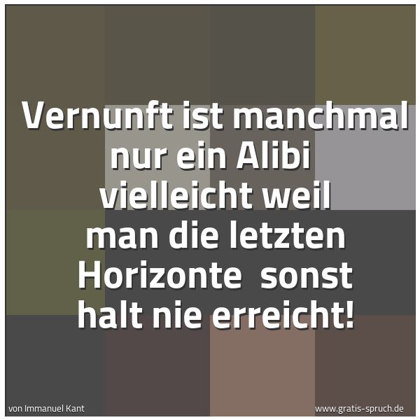 Spruchbild mit dem Text 'Vernunft ist manchmal nur ein Alibi 
vielleicht weil man die letzten Horizonte 
sonst halt nie erreicht!'