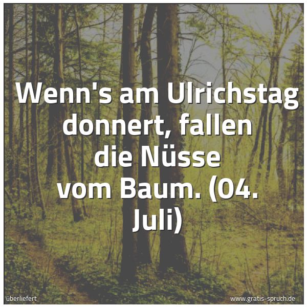 Spruchbild mit dem Text 'Wenn's am Ulrichstag donnert, fallen die Nüsse vom Baum.
(04. Juli)'