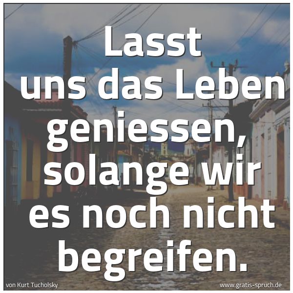 Spruchbild mit dem Text 'Lasst uns das Leben geniessen, 
solange wir es noch nicht begreifen. '