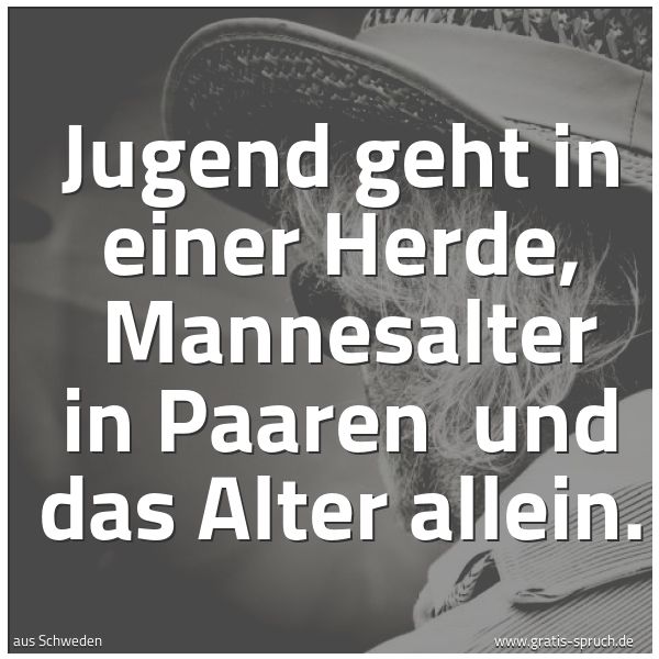 Spruchbild mit dem Text 'Jugend geht in einer Herde, 
Mannesalter in Paaren 
und das Alter allein.'