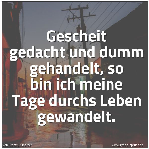 Spruchbild mit dem Text 'Gescheit gedacht und dumm gehandelt,
so bin ich meine Tage durchs Leben gewandelt.'