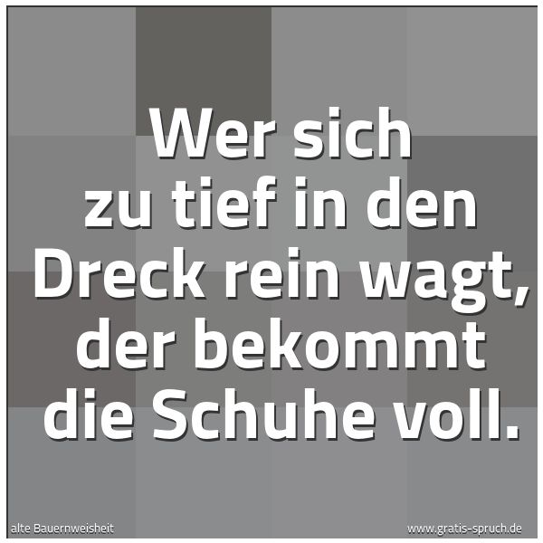 Spruchbild mit dem Text 'Wer sich zu tief in den Dreck rein wagt,
der bekommt die Schuhe voll.'