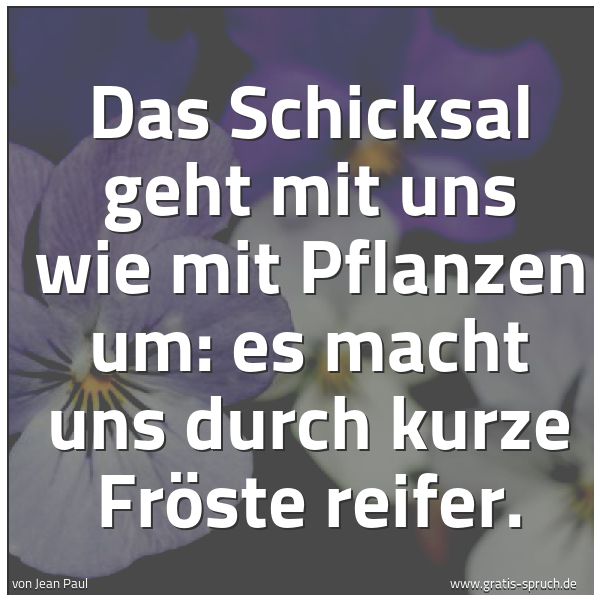 Spruchbild mit dem Text 'Das Schicksal geht mit uns wie mit Pflanzen um:
es macht uns durch kurze Fröste reifer.'