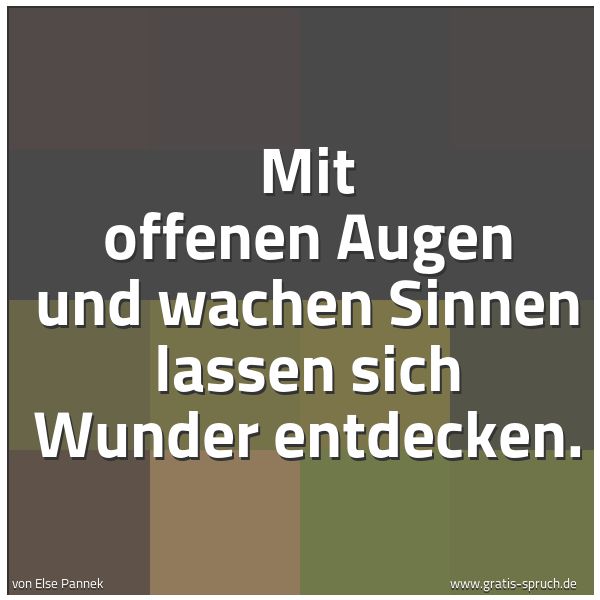 Spruchbild mit dem Text 'Mit offenen Augen und wachen Sinnen
lassen sich Wunder entdecken.'