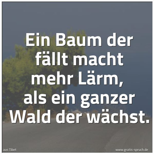 Spruchbild mit dem Text 'Ein Baum der fällt macht mehr Lärm, 
als ein ganzer Wald der wächst.'