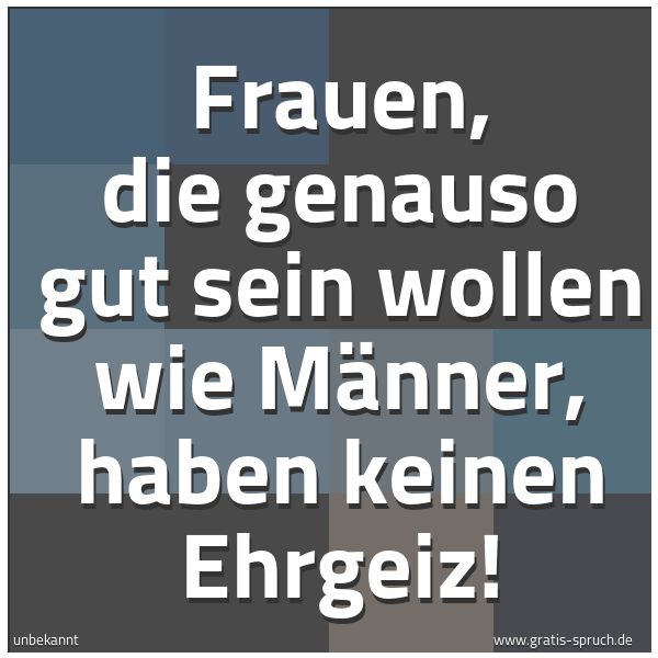 Spruchbild mit dem Text 'Frauen, die genauso gut sein wollen wie Männer,
haben keinen Ehrgeiz!'