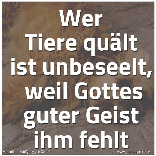 Spruchbild mit dem Text 'Wer Tiere quält ist unbeseelt, 
weil Gottes guter Geist ihm fehlt'