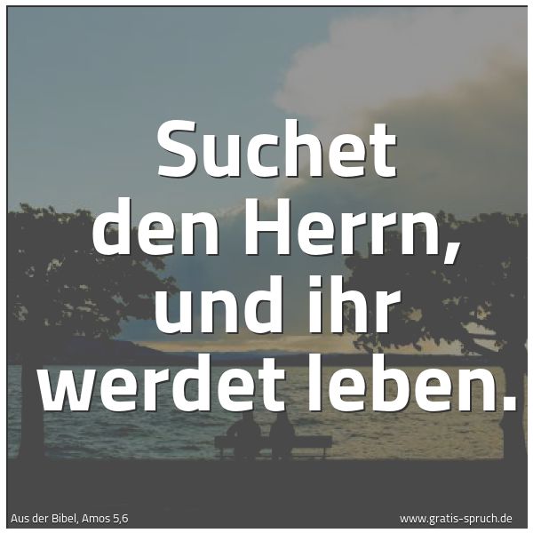 Spruchbild mit dem Text 'Suchet den Herrn, und ihr werdet leben.'