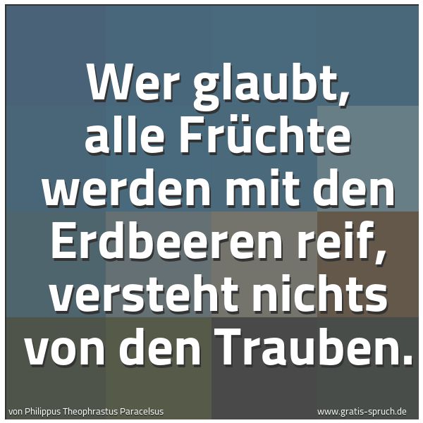 Spruchbild mit dem Text 'Wer glaubt, alle Früchte werden mit den Erdbeeren reif,
versteht nichts von den Trauben.'