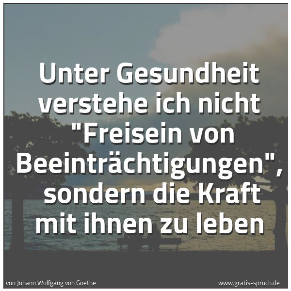 Spruchbild mit dem Text 'Unter Gesundheit verstehe ich nicht 
'Freisein von Beeinträchtigungen', 
sondern die Kraft mit ihnen zu leben'