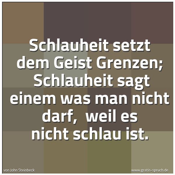 Spruchbild mit dem Text 'Schlauheit setzt dem Geist Grenzen; 
Schlauheit sagt einem was man nicht darf, 
weil es nicht schlau ist. '
