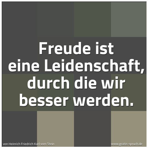 Spruchbild mit dem Text 'Freude ist eine Leidenschaft, durch die wir besser werden.'