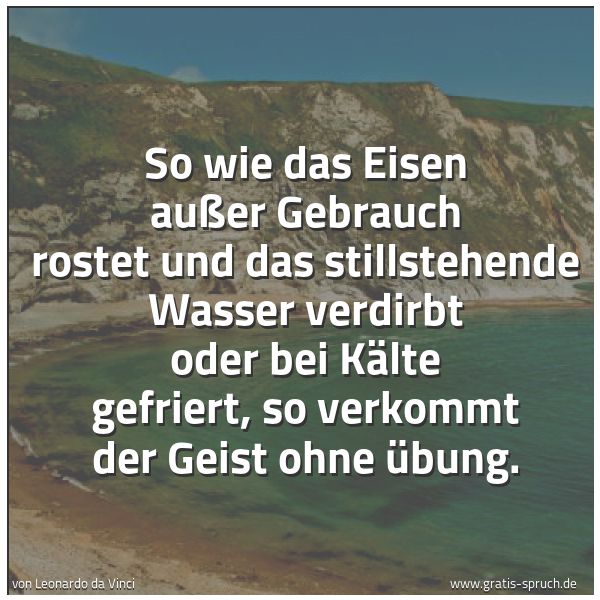 Spruchbild mit dem Text 'So wie das Eisen außer Gebrauch rostet und das stillstehende Wasser verdirbt oder bei Kälte gefriert, so verkommt der Geist ohne Übung.
'