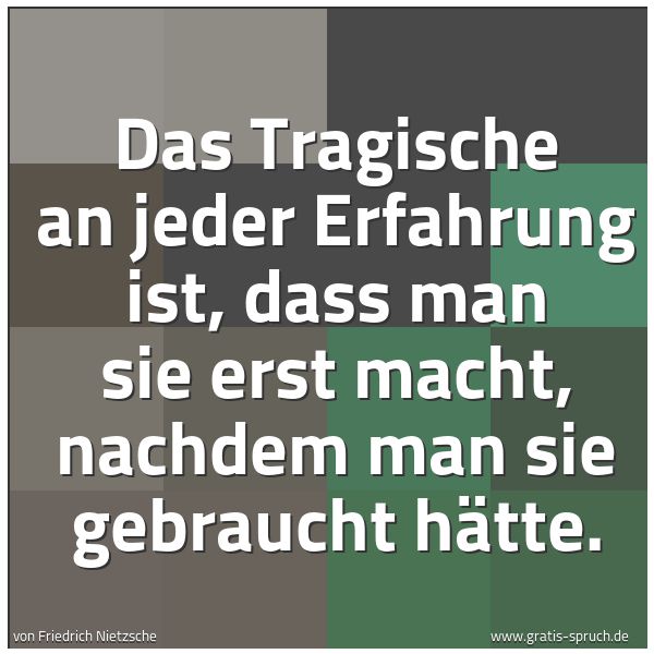 Spruchbild mit dem Text 'Das Tragische an jeder Erfahrung ist, dass man sie erst macht, nachdem man sie gebraucht hätte.'