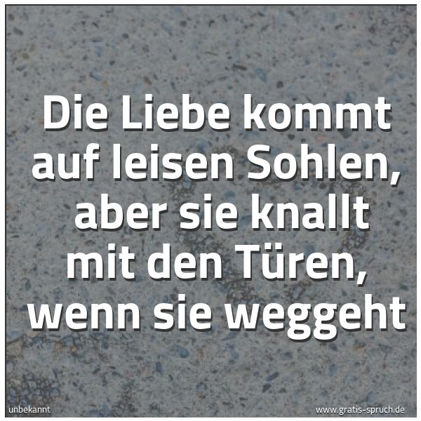 Spruchbild mit dem Text 'Die Liebe kommt auf leisen Sohlen, 
aber sie knallt mit den Türen, wenn sie weggeht'