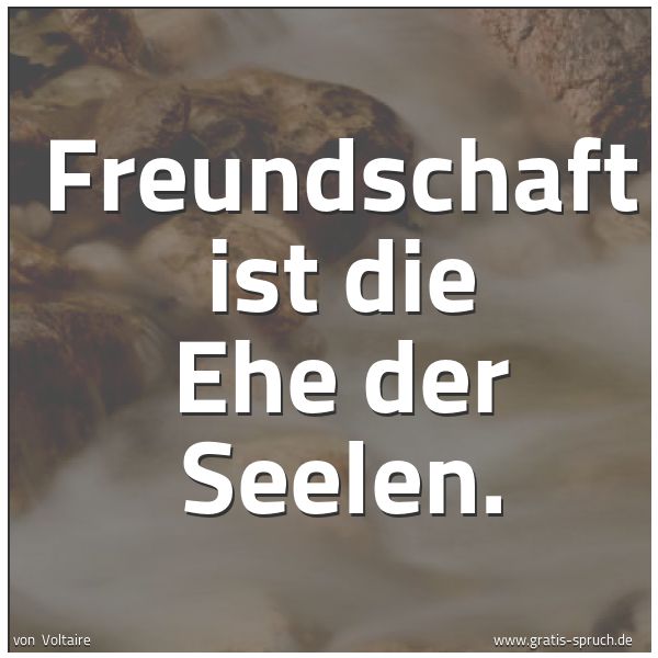 Spruchbild mit dem Text 'Freundschaft ist die Ehe der Seelen.'