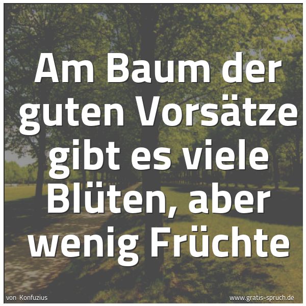 Spruchbild mit dem Text 'Am Baum der guten Vorsätze
gibt es viele Blüten, aber wenig Früchte'