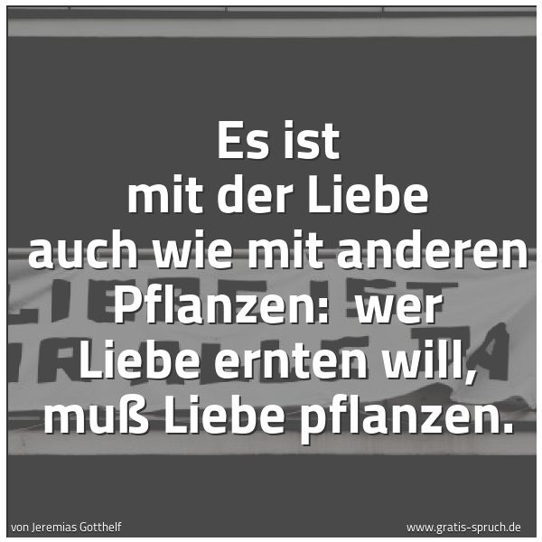 Spruchbild mit dem Text 'Es ist mit der Liebe auch wie mit anderen Pflanzen: 
wer Liebe ernten will, muß Liebe pflanzen.'