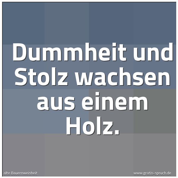 Spruchbild mit dem Text 'Dummheit und Stolz wachsen aus einem Holz.'