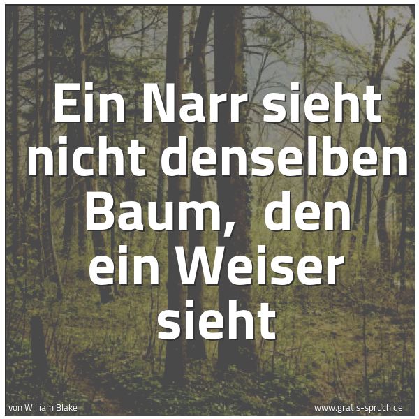 Spruchbild mit dem Text 'Ein Narr sieht nicht denselben Baum, 
den ein Weiser sieht'