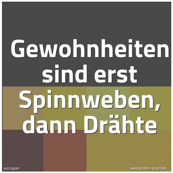Spruchbild mit dem Text 'Gewohnheiten sind erst Spinnweben,
dann Drähte'