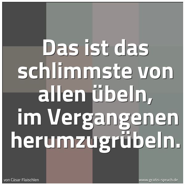 Spruchbild mit dem Text 'Das ist das schlimmste von allen Übeln, 
im Vergangenen herumzugrübeln.'