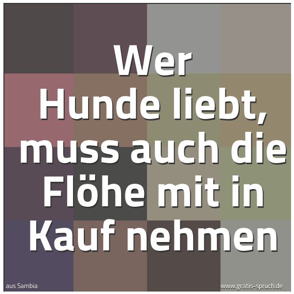 Spruchbild mit dem Text 'Wer Hunde liebt, muss auch die Flöhe mit in Kauf nehmen'