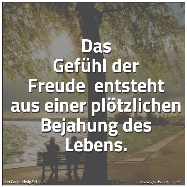 Spruchbild mit dem Text 'Das Gefühl der Freude 
entsteht aus einer plötzlichen Bejahung des Lebens.'