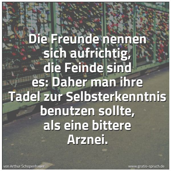 Spruchbild mit dem Text 'Die Freunde nennen sich aufrichtig,
die Feinde sind es:
Daher man ihre Tadel zur Selbsterkenntnis benutzen sollte,
als eine bittere Arznei.'